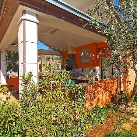 Petar 1306 * 바르바리가