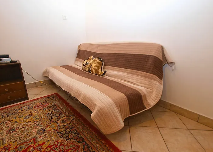 아파트 Petar 1306 바르바리가